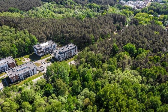 Daugiabutis pušyne iš drono