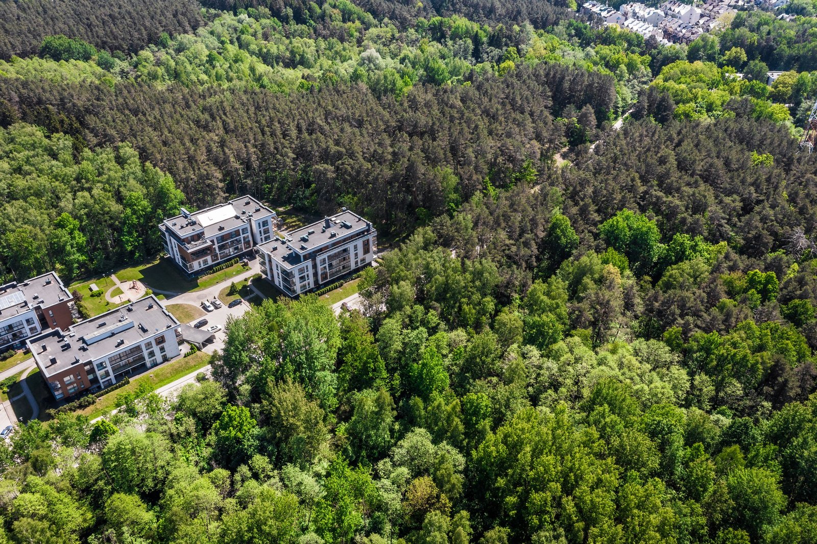 Daugiabutis tarp pušų iš drono — aplinka, kurios nuo žemės nesimato